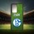 Egyedi nevekkel - Schalke logó - Egyéb tok