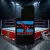 Pankráció - CM Punk Best in the world - Samsung tok 