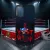 Pankráció - Cody Rhodes - I wont give up - Xiaomi tok 